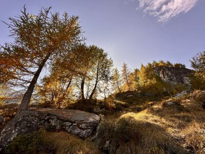 Wandern, Tessin, Val Bavona